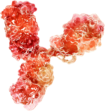 Pemgarda Antibody
